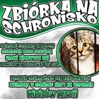 Zbiórka dla schroniska