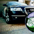 Lechia On Tour - Zapisy do Białegostoku